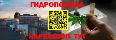 ГАЛЛЮЦИНОГЕННЫЕ ГРИБЫ Свободный
